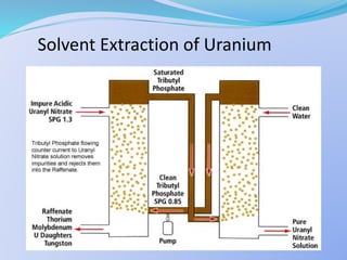 Solvent Extraction of Uranium
 