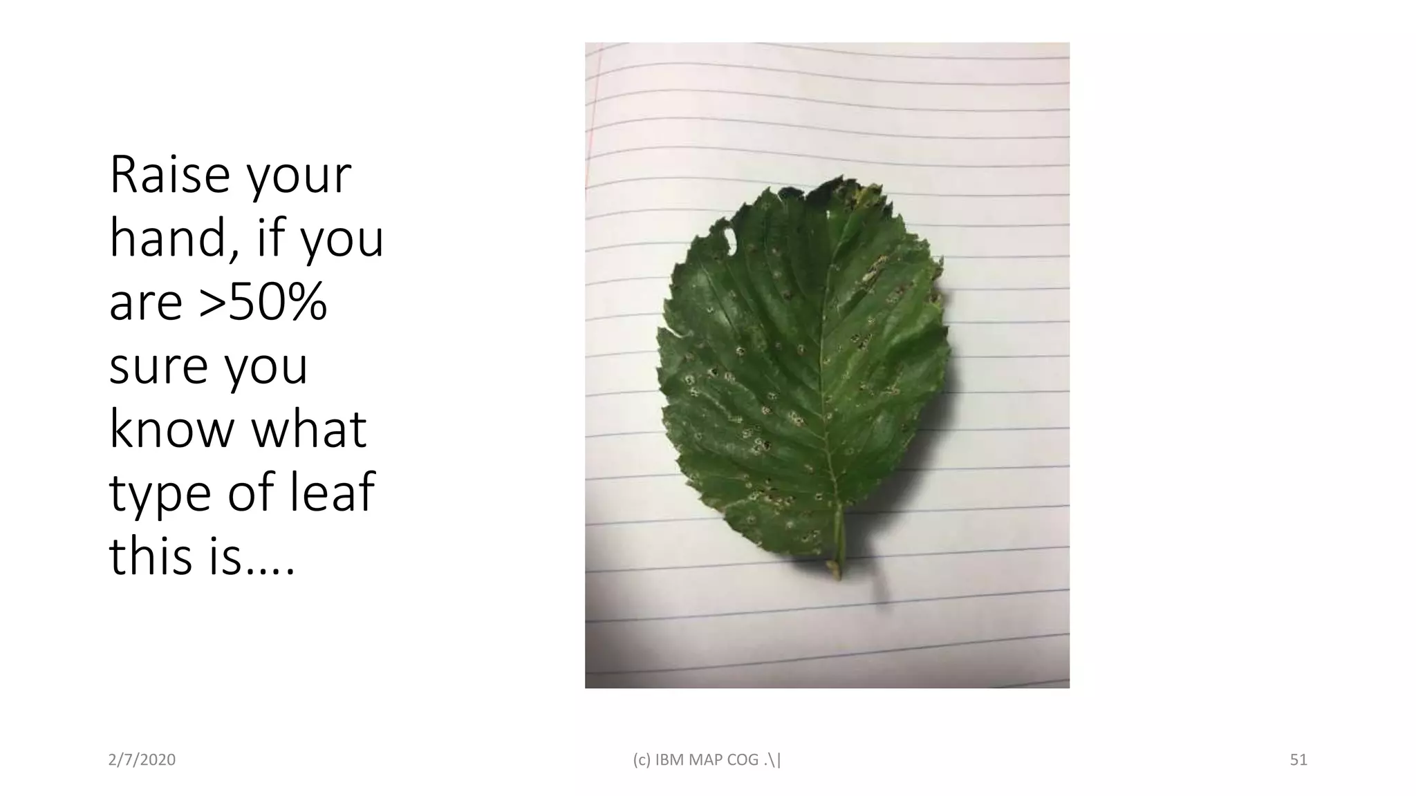 Raise your
hand, if you
are >50%
sure you
know what
type of leaf
this is….
2/7/2020 (c) IBM MAP COG .| 51
 