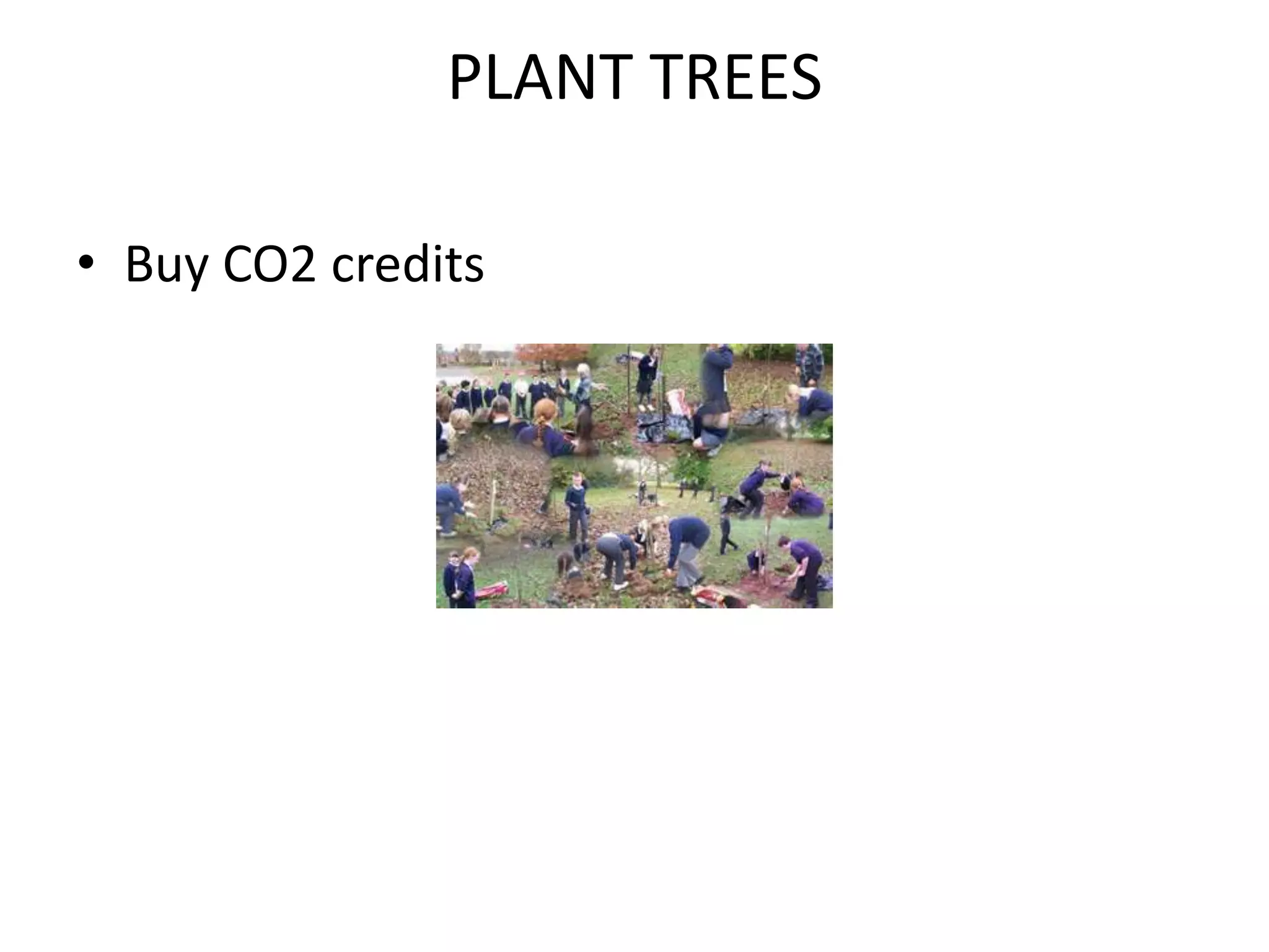 PLANT TREES

• Buy CO2 credits
 