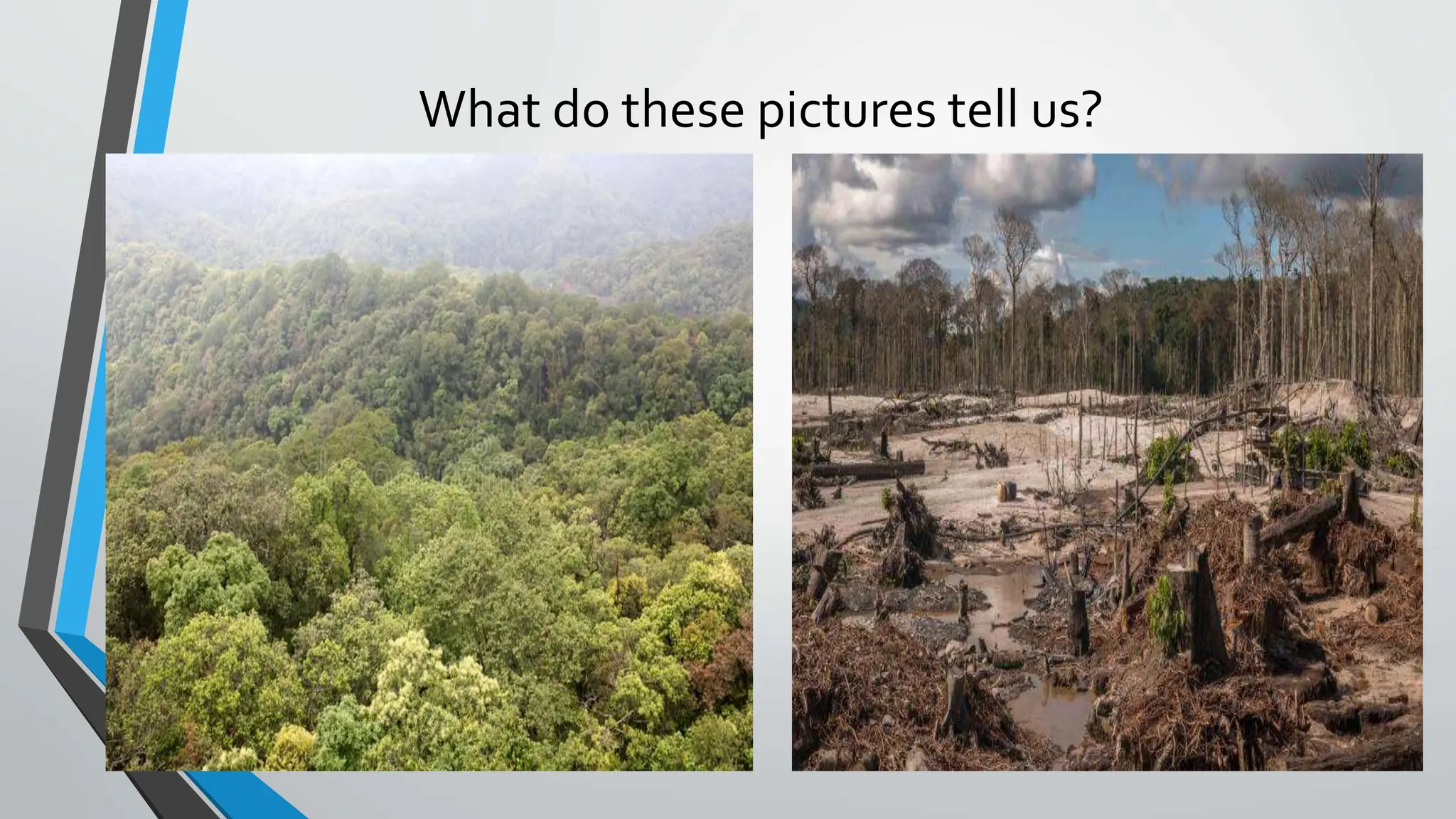 What do these pictures tell us?
 