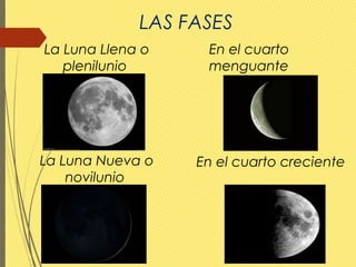 LAS FASES
La Luna Nueva o
novilunio
La Luna Llena o
plenilunio
En el cuarto creciente
En el cuarto
menguante
 