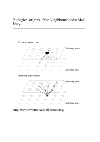 Biological origins of the Neighbourhoods: Mals-
burg
Inhibitory connections:
Excitatory units
Inhibitory units
Excitatory units
Inhibitory units
Excitatory connections:
Implements winner-take-all processing.
7
 