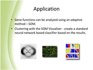ApplicationGene functions can be analyzed using an adaptive method – SOM.Clustering with the SOM Visualizer- create a standard neural network based classifier based on the results. 