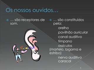    … são receptores de    … são constituídos
    som.                    pela:
                                orelha
                                pavilhão auricular
                                canal auditivo
                                tímpano
                                ossículos
                          (martelo, bigorna e
                          estribo)
                                nervo auditivo
                                caracol
                                             4
 