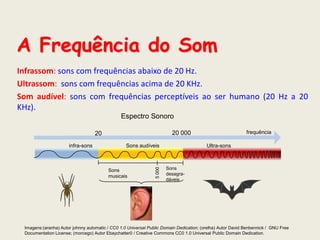 A Frequência do Som
Infrassom: sons com frequências abaixo de 20 Hz.
Ultrassom: sons com frequências acima de 20 KHz.
Som audível: sons com frequências perceptíveis ao ser humano (20 Hz a 20
KHz).
Espectro Sonoro

Sons audíveis

Sons
musicais

5 000

infra-sons

frequência

20 000

20

Ultra-sons

Sons
desagradáveis

Imagens:(aranha) Autor johnny automatic / CC0 1.0 Universal Public Domain Dedication; (orelha) Autor David Benbennick / GNU Free
Documentation License; (morcego) Autor Ebaychatter0 / Creative Commons CC0 1.0 Universal Public Domain Dedication.

 