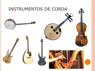 INSTRUMENTOS DE CORDA
 
