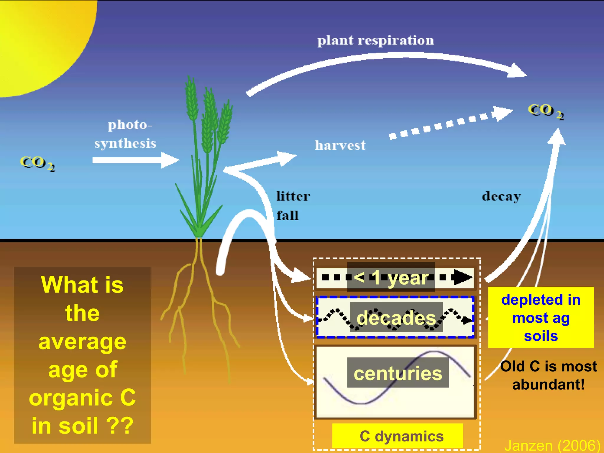 < 1 year
decades
centuries
What is
the
average
age of
organic C
in soil ??
Janzen (2006)
Old C is most
abundant!
depleted in
most ag
soils
C dynamics
 