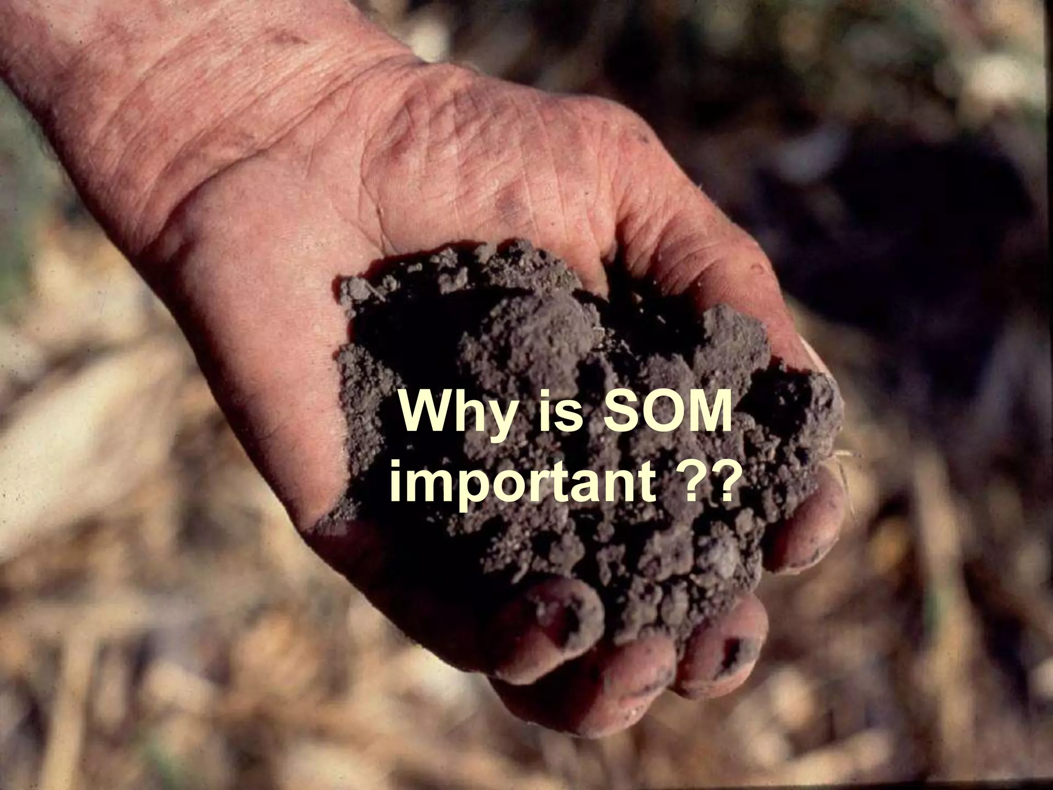 Why is SOM
important ??
 