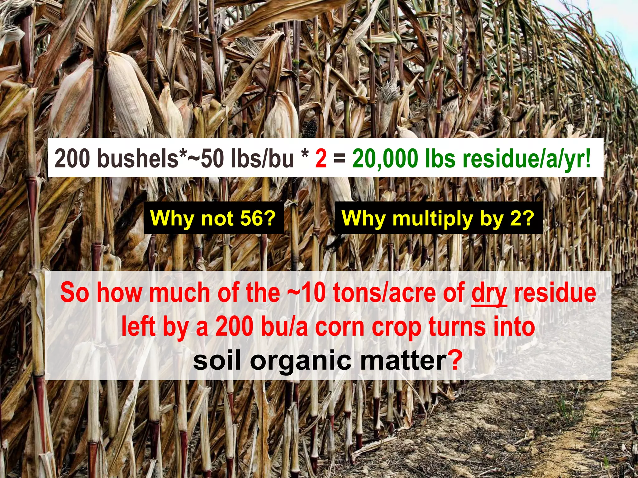 200 bushels*~50 lbs/bu * 2 = 20,000 lbs residue/a/yr!
So how much of the ~10 tons/acre of dry residue
left by a 200 bu/a corn crop turns into
soil organic matter?
Why not 56? Why multiply by 2?
 
