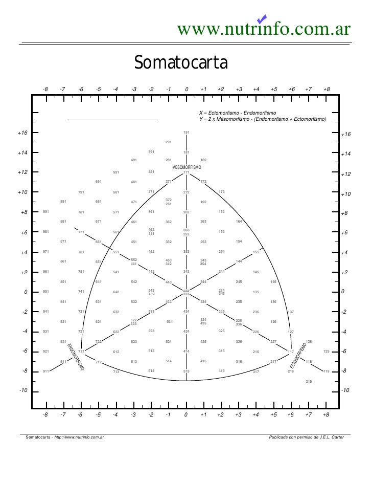 Plantilla somatocarta excel