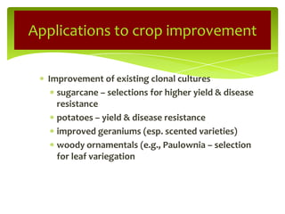 Improvement of existing clonal cultures
sugarcane – selections for higher yield & disease
resistance
potatoes – yield & disease resistance
improved geraniums (esp. scented varieties)
woody ornamentals (e.g., Paulownia – selection
for leaf variegation
Applications to crop improvement
 
