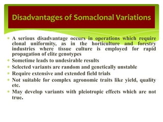 A serious disadvantage occurs in operations which require
clonal uniformity, as in the horticulture and forestry
industries where tissue culture is employed for rapid
propagation of elite genotypes
Sometime leads to undesirable results
Selected variants are random and genetically unstable
Require extensive and extended field trials
Not suitable for complex agronomic traits like yield, quality
etc.
May develop variants with pleiotropic effects which are not
true.
Disadvantages of Somaclonal Variations
 