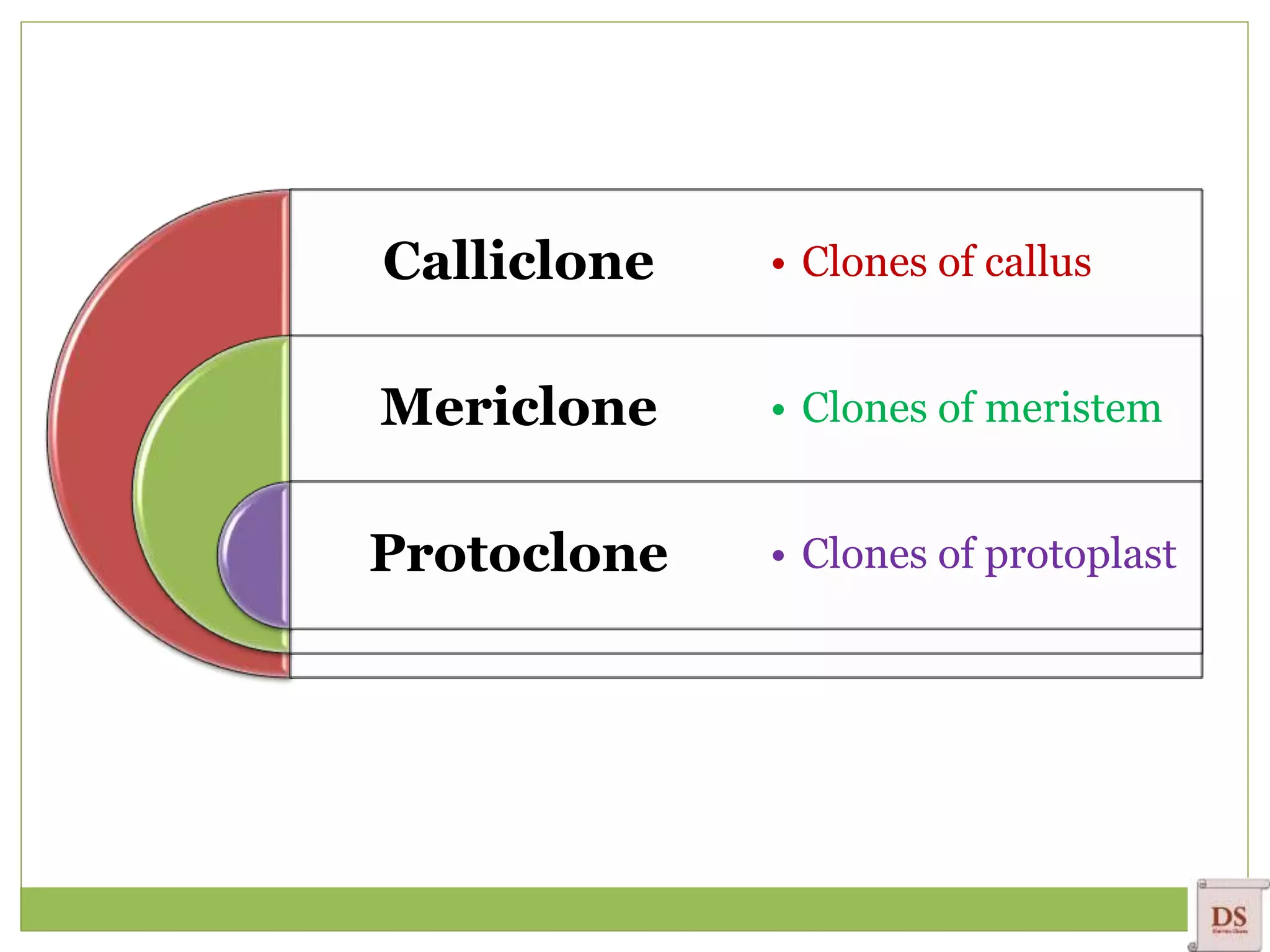 Calliclone
Mericlone
Protoclone
• Clones of callus
• Clones of meristem
• Clones of protoplast
 