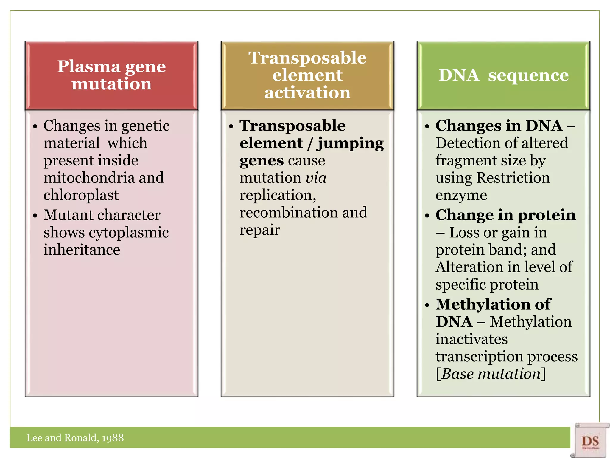 Plasma gene
mutation
• Changes in genetic
material which
present inside
mitochondria and
chloroplast
• Mutant character
shows cytoplasmic
inheritance
Transposable
element
activation
• Transposable
element / jumping
genes cause
mutation via
replication,
recombination and
repair
DNA sequence
• Changes in DNA –
Detection of altered
fragment size by
using Restriction
enzyme
• Change in protein
– Loss or gain in
protein band; and
Alteration in level of
specific protein
• Methylation of
DNA – Methylation
inactivates
transcription process
[Base mutation]
Lee and Ronald, 1988
 