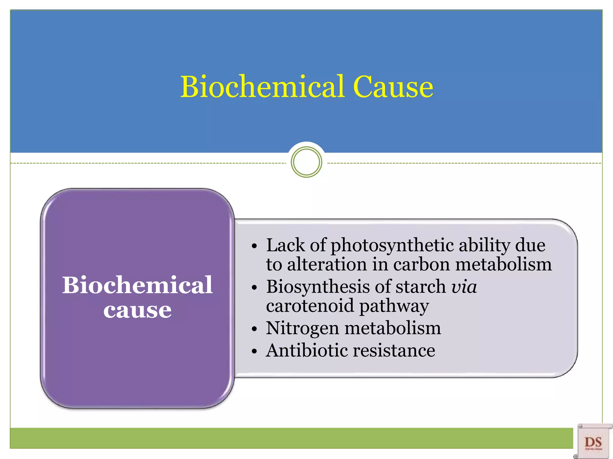 Biochemical Cause
• Lack of photosynthetic ability due
to alteration in carbon metabolism
• Biosynthesis of starch via
carotenoid pathway
• Nitrogen metabolism
• Antibiotic resistance
Biochemical
cause
 