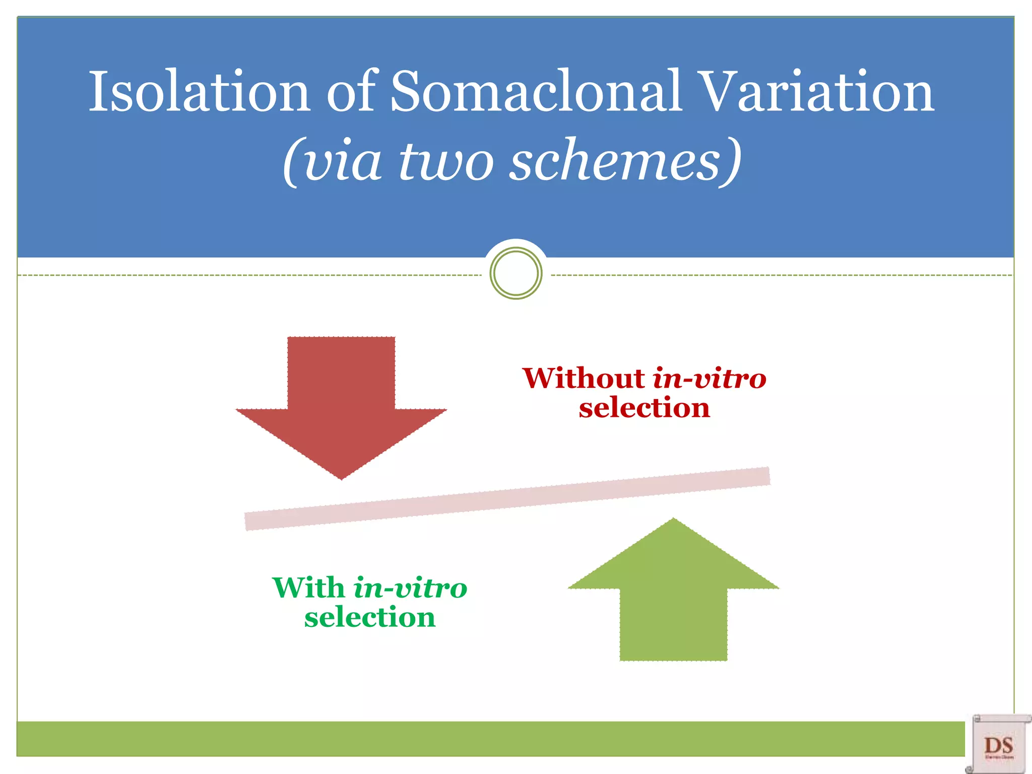 Isolation of Somaclonal Variation
(via two schemes)
Without in-vitro
selection
With in-vitro
selection
 