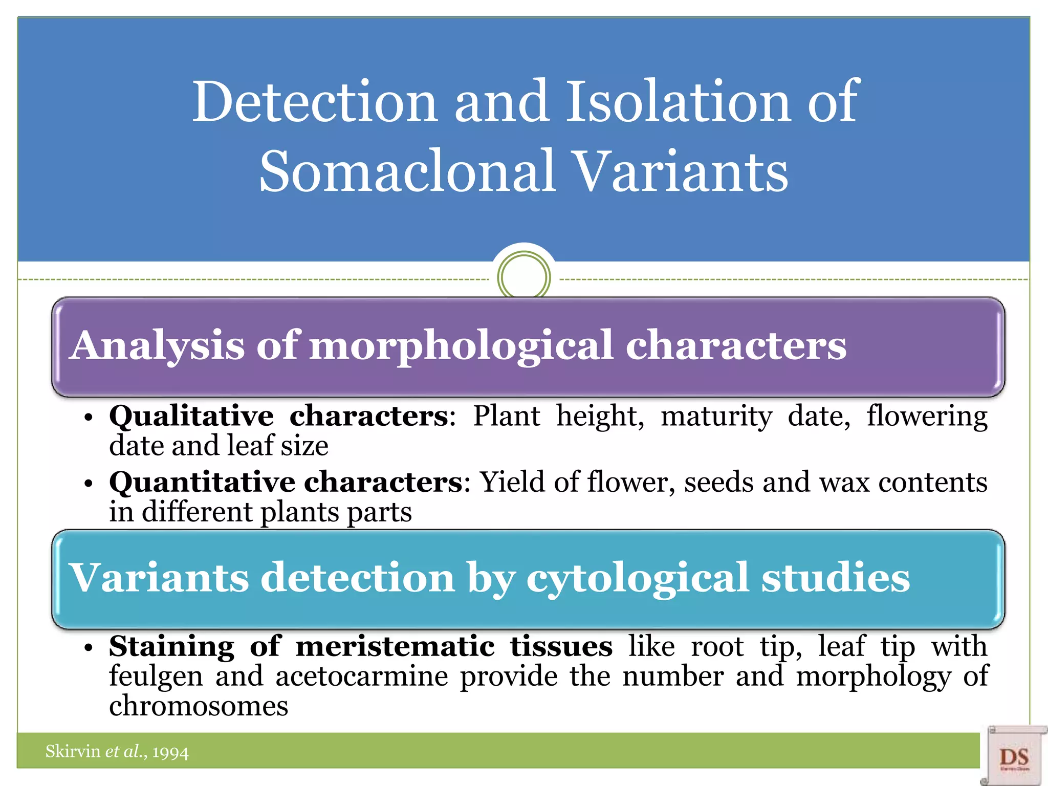 Detection and Isolation of
Somaclonal Variants
Analysis of morphological characters
• Qualitative characters: Plant height, maturity date, flowering
date and leaf size
• Quantitative characters: Yield of flower, seeds and wax contents
in different plants parts
Variants detection by cytological studies
• Staining of meristematic tissues like root tip, leaf tip with
feulgen and acetocarmine provide the number and morphology of
chromosomes
Skirvin et al., 1994
 