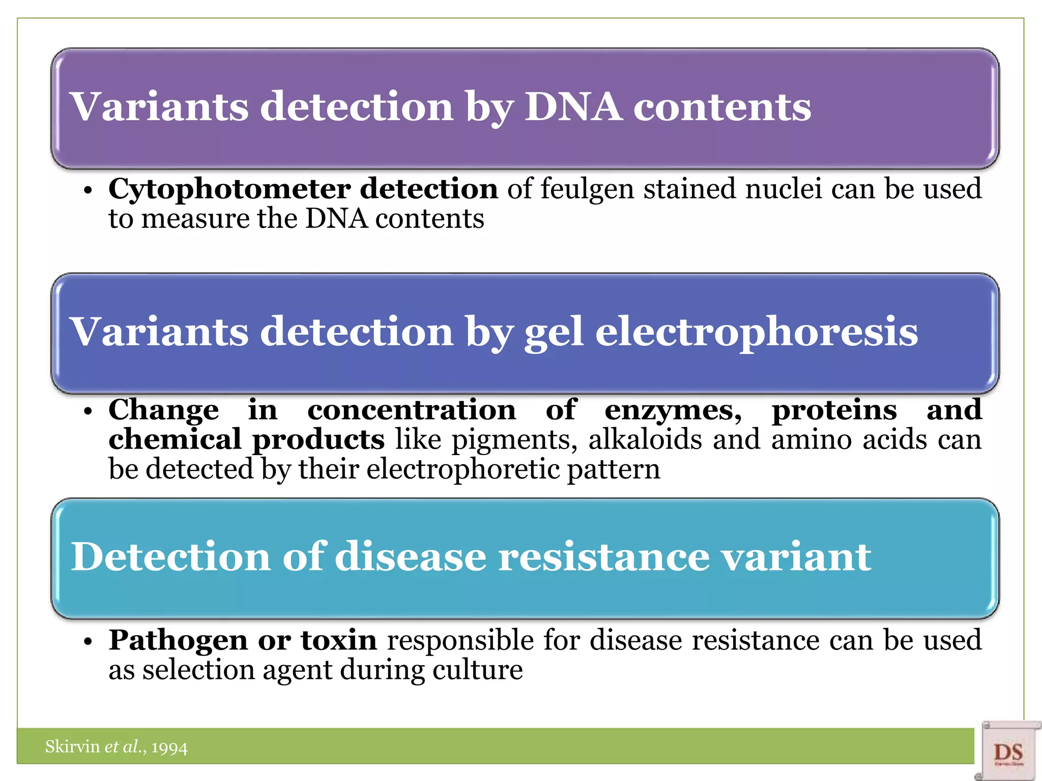 Variants detection by DNA contents
• Cytophotometer detection of feulgen stained nuclei can be used
to measure the DNA contents
Variants detection by gel electrophoresis
• Change in concentration of enzymes, proteins and
chemical products like pigments, alkaloids and amino acids can
be detected by their electrophoretic pattern
Detection of disease resistance variant
• Pathogen or toxin responsible for disease resistance can be used
as selection agent during culture
Skirvin et al., 1994
 