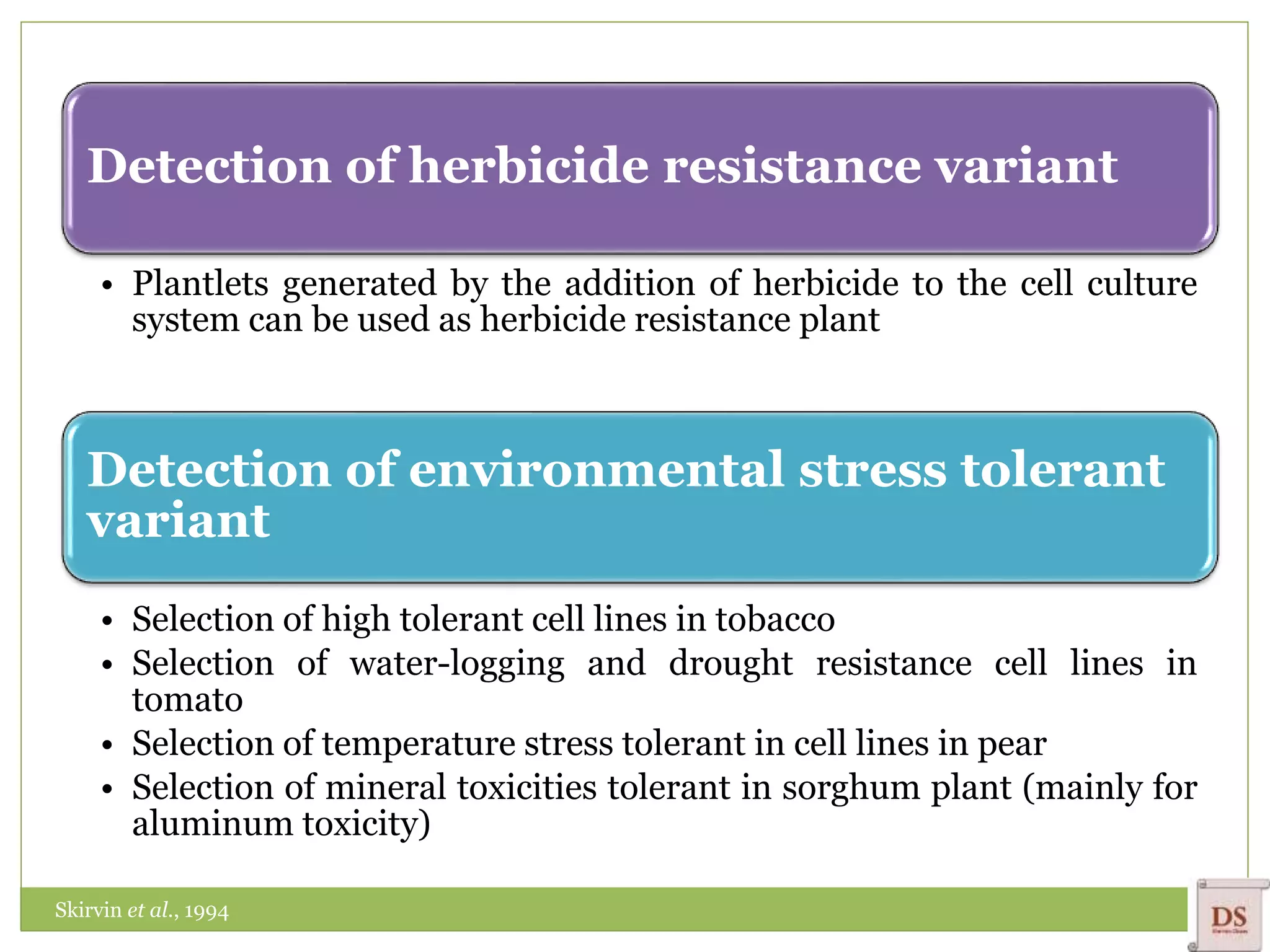 Detection of herbicide resistance variant
• Plantlets generated by the addition of herbicide to the cell culture
system can be used as herbicide resistance plant
Detection of environmental stress tolerant
variant
• Selection of high tolerant cell lines in tobacco
• Selection of water-logging and drought resistance cell lines in
tomato
• Selection of temperature stress tolerant in cell lines in pear
• Selection of mineral toxicities tolerant in sorghum plant (mainly for
aluminum toxicity)
Skirvin et al., 1994
 