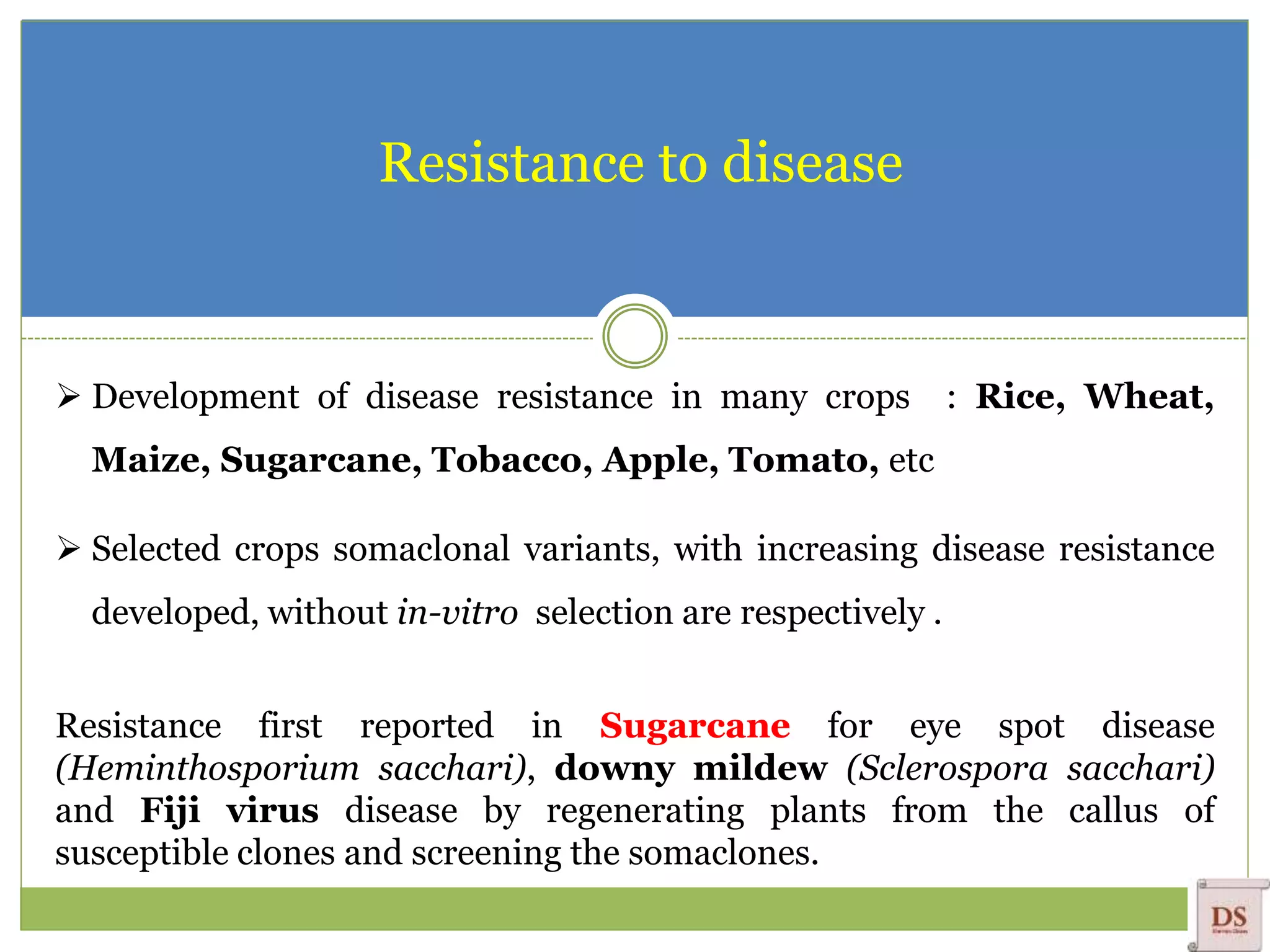 Resistance to disease
 Development of disease resistance in many crops : Rice, Wheat,
Maize, Sugarcane, Tobacco, Apple, Tomato, etc
 Selected crops somaclonal variants, with increasing disease resistance
developed, without in-vitro selection are respectively .
Resistance first reported in Sugarcane for eye spot disease
(Heminthosporium sacchari), downy mildew (Sclerospora sacchari)
and Fiji virus disease by regenerating plants from the callus of
susceptible clones and screening the somaclones.
 