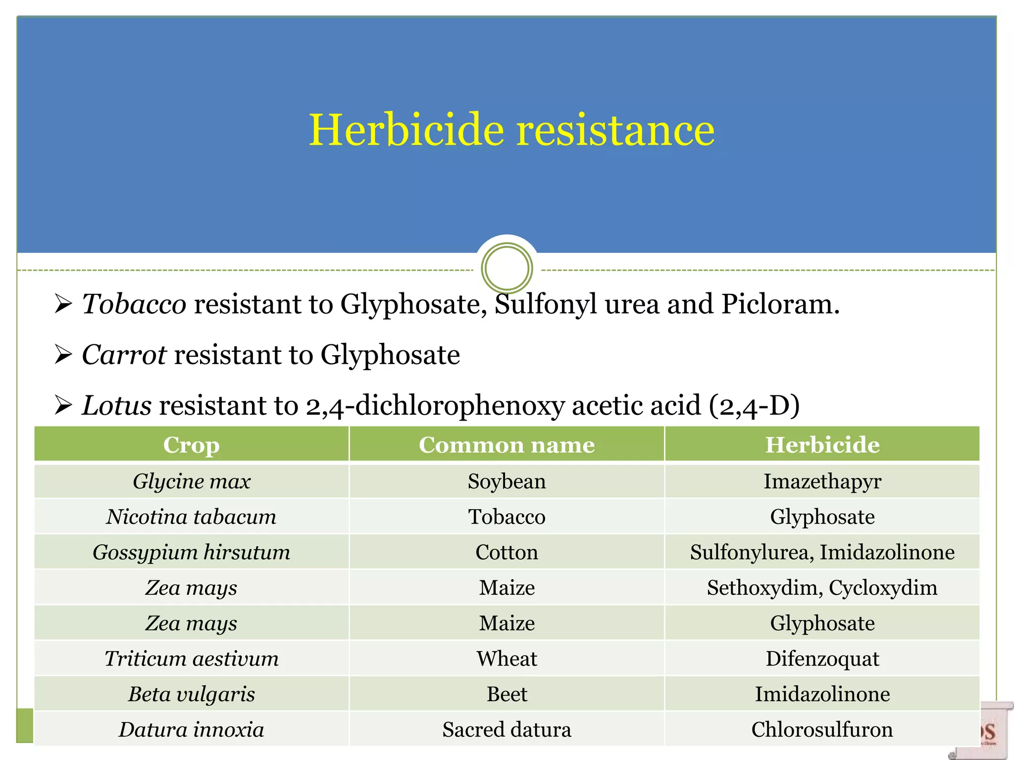 Herbicide resistance
 Tobacco resistant to Glyphosate, Sulfonyl urea and Picloram.
 Carrot resistant to Glyphosate
 Lotus resistant to 2,4-dichlorophenoxy acetic acid (2,4-D)
Crop Common name Herbicide
Glycine max Soybean Imazethapyr
Nicotina tabacum Tobacco Glyphosate
Gossypium hirsutum Cotton Sulfonylurea, Imidazolinone
Zea mays Maize Sethoxydim, Cycloxydim
Zea mays Maize Glyphosate
Triticum aestivum Wheat Difenzoquat
Beta vulgaris Beet Imidazolinone
Datura innoxia Sacred datura Chlorosulfuron
 