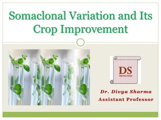 Dr. Divya Sharma
Assistant Professor
Somaclonal Variation and Its
Crop Improvement
 