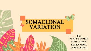 SOMACLONAL
VARIATION
SOMACLONAL
VARIATION
BY:
ANANYA KUMAR
NIKITA SINGH
SANIKA MORE
ANANYA SINGH
 