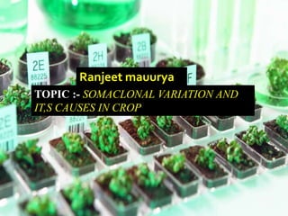 TOPIC :- SOMACLONAL VARIATION AND
IT,S CAUSES IN CROP
Ranjeet mauurya
 