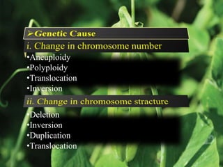 •Aneuploidy
•Polyploidy
•Translocation
•Inversion
•Deletion
•Inversion
•Duplication
•Translocation
 