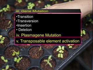 •Transition
•Transversion
•Insertion
• Deletion
iv. Plasmagene Mutation
v. Transposable element activation
 