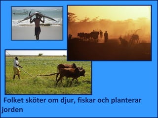 Folket sköter om djur, fiskar och planterar
jorden
 