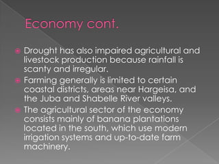 Drought has also impaired agricultural and
  livestock production because rainfall is
  scanty and irregular.
 Farming generally is limited to certain
  coastal districts, areas near Hargeisa, and
  the Juba and Shabelle River valleys.
 The agricultural sector of the economy
  consists mainly of banana plantations
  located in the south, which use modern
  irrigation systems and up-to-date farm
  machinery.
 