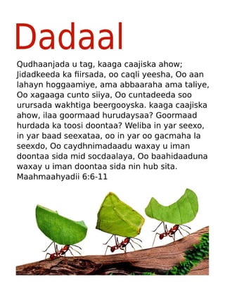 Somali Motivational Diligence Tract.pdf
