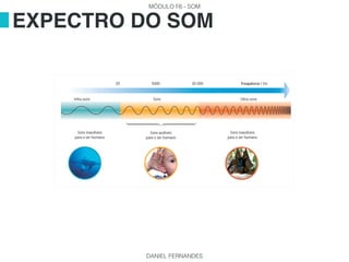 MÓDULO F6 - SOM
DANIEL FERNANDES
EXPECTRO DO SOM
 