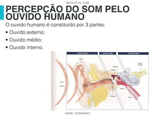MÓDULO F6 - SOM
DANIEL FERNANDES
O ouvido humano é constituído por 3 partes:
• Ouvido externo;
• Ouvido médio;
• Ouvido interno.
PERCEPÇÃO DO SOM PELO
OUVIDO HUMANO
 