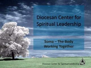 Diocesan Center for
Spiritual Leadership


   Soma – The Body
   Working Together



  Diocesan Center for Spiritual Leadership
 