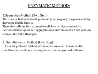 ENZYMATIC METHOD:
1.Sequential Method (Two Step):
The tissue is first treated with pectinase (macerozyme) to separate cells by
degrading middle lamella.
These free cells are then exposed to cellulose to release protoplasts.
Pectinase breaks up the cell aggregates into individual cells while cellulose
removes the cell wall proper.
2. Simultaneous Method (One Step):
This is the preferred method for protoplast isolation. It involves the
simultaneous use of both the enzymes — macerozyme and cellulose.
 