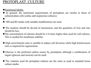 PROTOPLAST CULTURE
Nutritional Media:
 In general, the nutritional requirements of protoplasts are similar to those of
cultured plant cells (callus and suspension cultures).

 MS and B5 media with suitable modifications are used.
 The medium should be devoid of ammonium, and the quantities of iron and zinc
should be less.
The concentration of calcium should be 2-4 times higher than used for cell cultures.
This is needed for membrane stability.
 High auxin/kinetin ratio is suitable to induce cell divisions while high kinetin/auxin
ratio is required for regeneration.
 Glucose is the preferred carbon source by protoplasts although a combination of
sugars (glucose and sucrose) can be used.
 The vitamins used for protoplast cultures are the same as used in standard tissue
culture media.
 