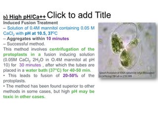 Click to add Title
b) High pH/Ca++
Induced Fusion Treatment
– Solution of 0.4M mannitol containing 0.05 M
CaCl2 with pH at 10.5, 370C
– Aggregates within 10 minutes
– Successful method.
This method involves centrifugation of the
protoplasts in a fusion inducing solution
(0.05M CaCl2 2H2O in O.4M mannitol at pH
10) for 30 minutes , after which the tubes are
placed in a water bath (37°C) for 40-50 min.
• This leads to fusion of 20-50% of the
protoplasts.
• The method has been found superior to other
methods in some cases, but high pH may be
toxic in other cases.
 