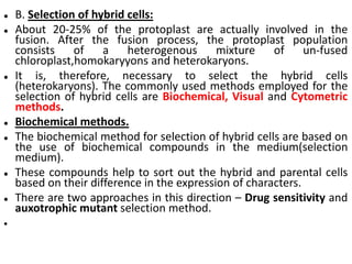  B. Selection of hybrid cells:
 About 20-25% of the protoplast are actually involved in the
fusion. After the fusion process, the protoplast population
consists of a heterogenous mixture of un-fused
chloroplast,homokaryyons and heterokaryons.
 It is, therefore, necessary to select the hybrid cells
(heterokaryons). The commonly used methods employed for the
selection of hybrid cells are Biochemical, Visual and Cytometric
methods.
 Biochemical methods.
 The biochemical method for selection of hybrid cells are based on
the use of biochemical compounds in the medium(selection
medium).
 These compounds help to sort out the hybrid and parental cells
based on their difference in the expression of characters.
 There are two approaches in this direction – Drug sensitivity and
auxotrophic mutant selection method.

 