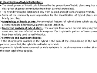 C. Identification of hybrid (cells)plants.
 The development of hybrid cells followed by the generation of hybrid plants requires a
clear proof of genetic contribution from both parental protoplasts.
 The hybridity must be established only from euploid and not from aneuploid hybrids.
 Some of the commonly used approaches for the identification of hybrid plants are
briefly described.
Morphology of hybrid plants- Morphological features of hybrid plants which usually
are intermediate between two parents can be identified.
Isoenzyme analysis of hybrid plants –The multiple forms of an enzyme catalysing the
same reaction are referred to as isoenzymes. Electrophoretic pattern of isoenzymes
have been widely used to verify hybrids.
Symmetric and asymmetric hybrids-
If the chromosome number in the hybrid is the sum of the chromosome of the two
parental protoplast, the hybrid is said to be symmetric.
Asymmetric hybrids have abnormal or wide variations in the chromosome number than
the exact total of two species.
 