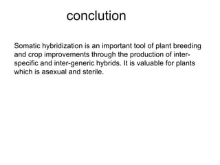 conclution
Somatic hybridization is an important tool of plant breeding
and crop improvements through the production of inter-
specific and inter-generic hybrids. It is valuable for plants
which is asexual and sterile.
 