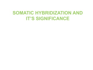 SOMATIC HYBRIDIZATION AND
IT’S SIGNIFICANCE
 