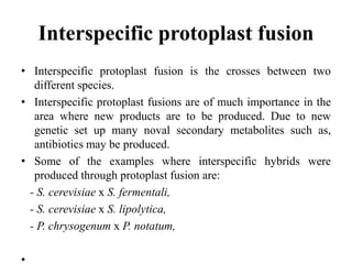 Interspecific protoplast fusion
• Interspecific protoplast fusion is the crosses between two
different species.
• Interspecific protoplast fusions are of much importance in the
area where new products are to be produced. Due to new
genetic set up many noval secondary metabolites such as,
antibiotics may be produced.
• Some of the examples where interspecific hybrids were
produced through protoplast fusion are:
- S. cerevisiae x S. fermentali,
- S. cerevisiae x S. lipolytica,
- P. chrysogenum x P. notatum,
•
 