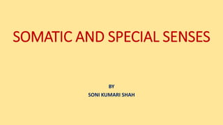 SOMATIC AND SPECIAL SENSES
BY
SONI KUMARI SHAH
 
