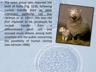 • The same group later reported the
birth of Dolly (Fig. 13.8), following
nuclear transfer from an adult
mammary epithelial cell line
(Wilmut et al. 1997). This was the
first mammal to be produced by
nuclear transfer from a
differentiated adult cell, and
aroused much debate among both
scientists and the public concerning
the possibility of human cloning
(see Johnson 1998).
 