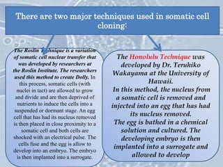 There are two major techniques used in somatic cell
cloning:
The Roslin Technique is a variation
of somatic cell nuclear transfer that
was developed by researchers at
the Roslin Institute. The researchers
used this method to create Dolly. In
this process, somatic cells (with
nuclei in tact) are allowed to grow
and divide and are then deprived of
nutrients to induce the cells into a
suspended or dormant stage. An egg
cell that has had its nucleus removed
is then placed in close proximity to a
somatic cell and both cells are
shocked with an electrical pulse. The
cells fuse and the egg is allow to
develop into an embryo. The embryo
is then implanted into a surrogate.
The Honolulu Technique was
developed by Dr. Teruhiko
Wakayama at the University of
Hawaii.
In this method, the nucleus from
a somatic cell is removed and
injected into an egg that has had
its nucleus removed.
The egg is bathed in a chemical
solution and cultured. The
developing embryo is then
implanted into a surrogate and
allowed to develop
 