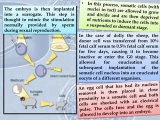 In the case of dolly the sheep, the
donor cell was transferred from 10%
fetal calf serum to 0.5% fetal calf serum
for five days, causing it to become
inactive or enter the G0 stage. This
allowed for enucleation and
subsequent implantation of the
somatic cell nucleus into an enucleated
oocyte of a different organism.
The embryo is then implanted
into a surrogate. This step is
thought to mimic the stimulation
normally provided by sperm
during sexual reproduction.
 