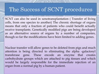 The Success of SCNT procedures
• Cloning ensures the presence of a trans-gene by
introducing the DNA into the somatic cell lines in
culture instead of by the more traditional and
tedious process of altering individual genotypes.
Cattle producing insulin in their milk are an
example.
• The first example published was Polly, another
lamb cloned by the Roslin Institute. She was
derived from fetal skin cells, genetically modified
to contain a human gene. This has resulted in a
valuable sheep that secretes human factor IX in its
milk. The blood-clotting protein is extracted,
purified, and used to treat haemophilia B.
SCNT is being used to produce human proteins for
therapy. Human proteins are in great demand for the
treatment of a variety of diseases. Whereas some can
be purified from blood, this is expensive and runs the
risk of contamination by HIV or Hepatitis C. Proteins
can be produced in human cell culture but costs are
very high and output small. Much larger quantities
can be produced in bacteria or yeast but the proteins
produced can be difficult to purify and they lack the
appropriate posttranslational modifications that are
needed for efficacy in vivo.
-SCNT can be used in cancer treatment by cloning
cells from cancerous tissue and introducing specific
characteristics leading to early cell death (eg. Short
telomeres). Reintroducing the altered cells could
decrease the capacity for division and replication in
the tumour.
- SCNT can also be useful in biomedical research.
Large animals can be genetically modified to carry
genetic defects mimicking human illnesses such as
cystic fibrosis. The similarities in organ size and life
span allow for improved monitoring of factors such as
the long-term consequences of treatment.
SCNT can also be used in xenotransplantation ( Transfer of living
cells, from one species to another) The chronic shortage of organs
means that only a fraction of patients who could benefit actually
receive transplants. Genetically modified pigs are being developed
as an alternative source of organs by a number of companies,
though so far the modifications have been limited to adding genes.
Nuclear transfer will allow genes to be deleted from pigs and much
attention is being directed to eliminating the alpha -galactosyl
transferase gene. These encode an enzyme that creates
carbohydrate groups which are attached to pig tissues and which
would be largely responsible for the immediate rejection of an
organ from a normal pig by a human patient.
 