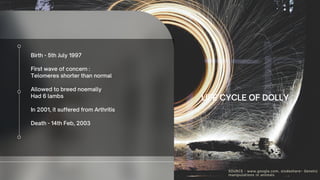 Birth - 5th July 1997
First wave of concern :
Telomeres shorter than normal
Allowed to breed noemally
Had 6 lambs
In 2001, it suffered from Arthritis
Death - 14th Feb, 2003
LIFE CYCLE OF DOLLY
SOURCE : www.google.com, slodeshare- Genetic
manipulations in animals
 